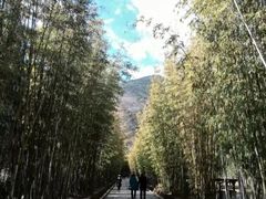 -蝴蝶泉公园