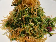 巧拌豆苗-四季民福烤鸭店(王府井灯市口店)