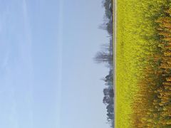 -中国天府农业博览园