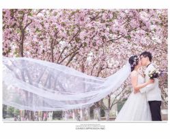 点击看大图 -戛纳印象摄影(潮拍定制馆)