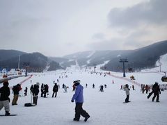 -中旅松花湖滑雪场