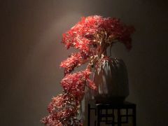 -江南足纪·影院足道·轻奢SPA(笋岗HALO广场店)