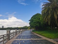-海珠湖公园