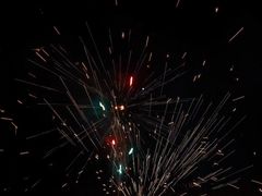 -广东惠东海龟国家级自然保护区