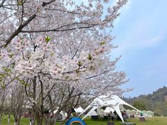 -绍兴镜湖国家城市湿地公园
