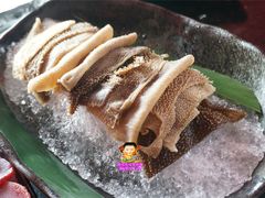 毛肚-王家渡火锅店(棕榈泉店)