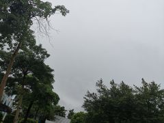 -广东花都香草世界旅游度假区