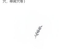 -老北京正宗炸酱面(渤海明珠店)