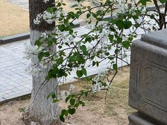 -乾隆行宫