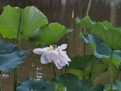 -西安市长乐公园