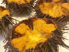 -海胆小馆(东北水饺·春柳店)