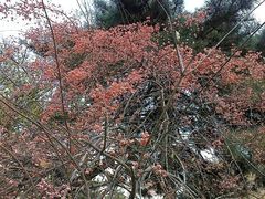 android_upload_pic-辽宁大学(崇山校区)