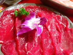 -谭鸭血老火锅(万象九宜城店)