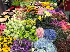 -双季花艺园艺市场(浦东店)