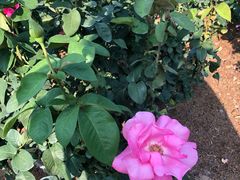 -人民公园(罗湖区)