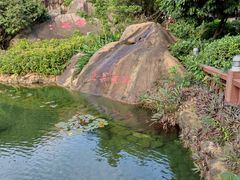 -江门古兜温泉小镇
