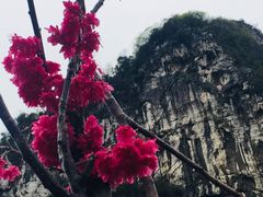 -南溪山景区
