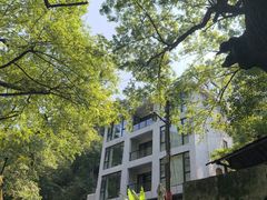 -芦茨金富饭庄·25年老字号·专做稻草鸡