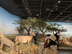 -陕西自然博物馆