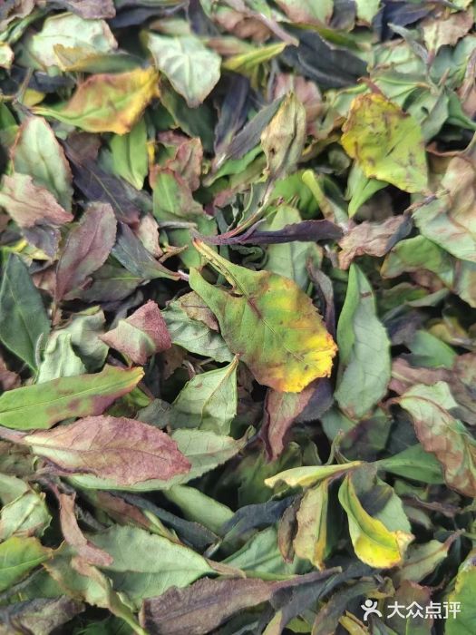 汉艺唐风茶艺培训(联发华美空间店)图片