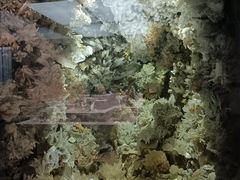 -湖南省地质博物馆