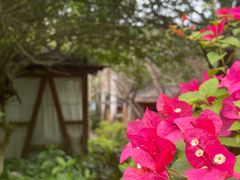 -三亚蜈支洲岛旅游区