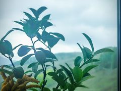 -云座·时光·观景咖啡厅(五爷庙店)