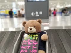 -上海浦东国际机场-T2航站楼