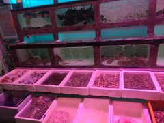 水产区-长平肥姐白粥·海鲜打冷