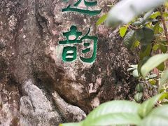 -深圳国际园林花卉博览园