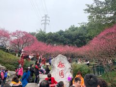 -重庆彩云湖湿地公园