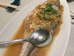 -满乐潮州(深业上城店)