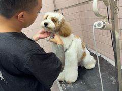 -FAELING PETS美天灵宠物(富力广场店)