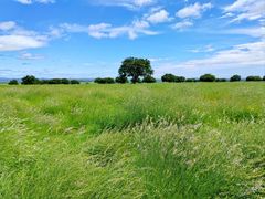 -五角枫生态旅游景区