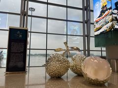 -广州白云国际机场-T2航站楼