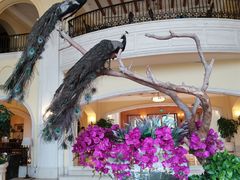 -美林湖温泉别墅度假村