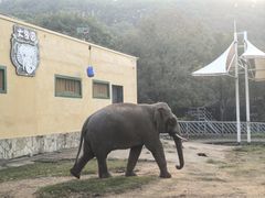 -无锡动物园·太湖欢乐园