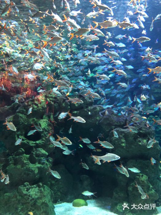 成都浩海立方海洋公园图片