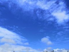 -日照世帆赛基地