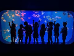 -全优加早教·托育(金沙御苑校区)