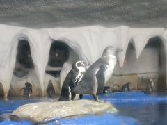 -太平洋海底世界