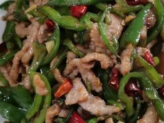 青椒肉丝-胖子川香