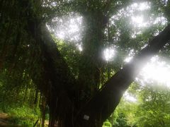 -晓港公园