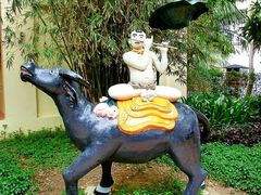-芽庄珍珠岛游乐园