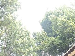 -洪湖家庭农场·团建·露营·会议