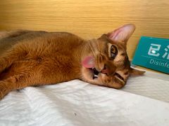 -美迦爱-牙专科·兔科·骨科诊疗中心(北苑店)