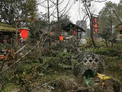 -青城甲(青城山店)