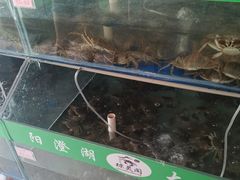 水产区-阳澄湖大闸蟹·琼灵阁牌品牌连锁(吴中总店)