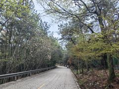 -虞山风景区