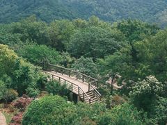 -老山国家森林公园